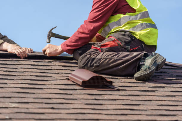 Best Roof Gutter Cleaning  in Charleston, WV