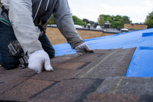 Best Emergency Roof Repair  in Charleston, WV