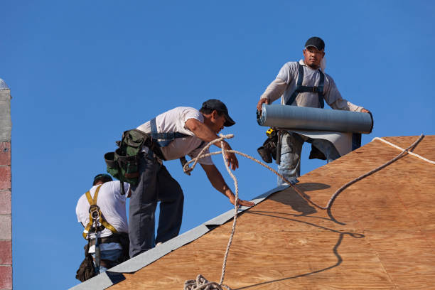 Best Emergency Roof Repair  in Charleston, WV